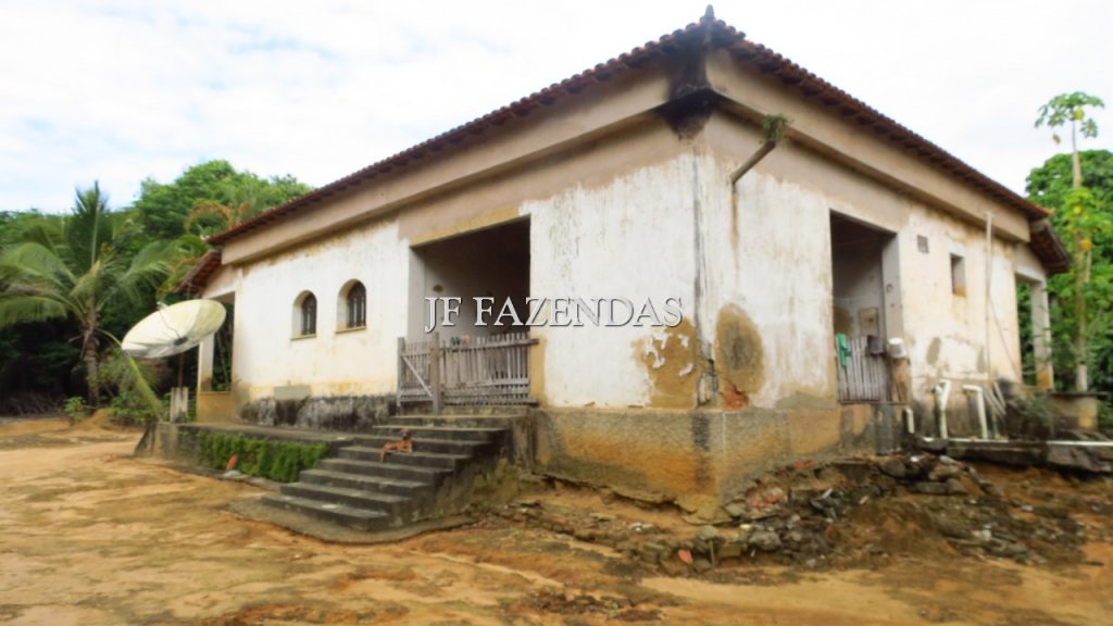 Fazenda em São João Nepomuceno – MG – 302 hectares Fazenda em São João Nepomuceno – MG – 302 hectares