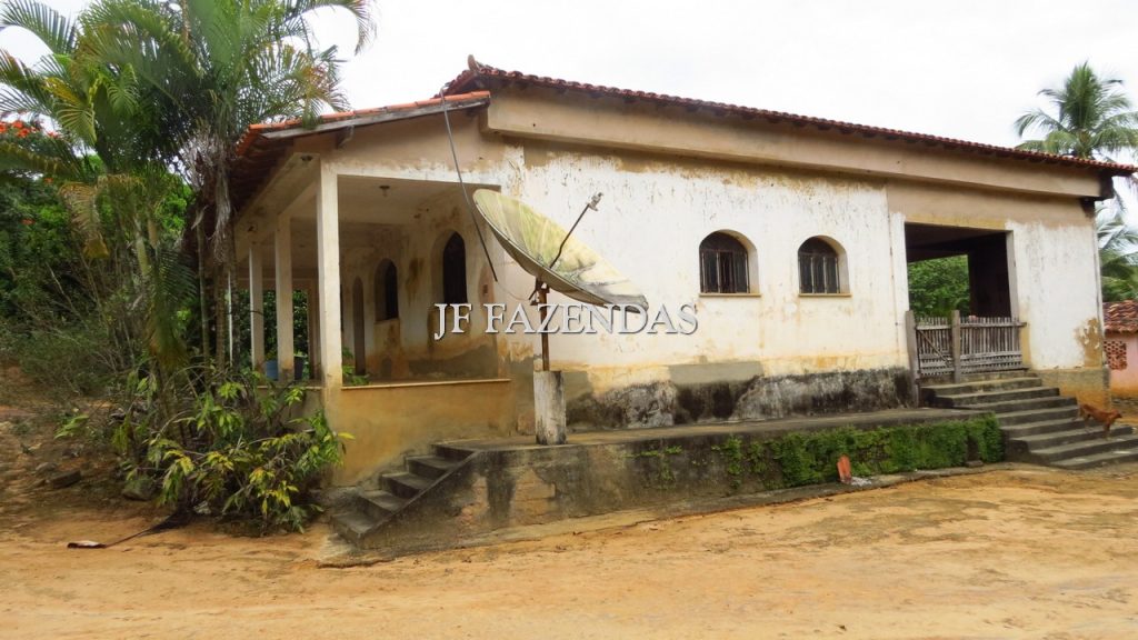 Fazenda em São João Nepomuceno – MG – 302 hectares Fazenda em São João Nepomuceno – MG – 302 hectares