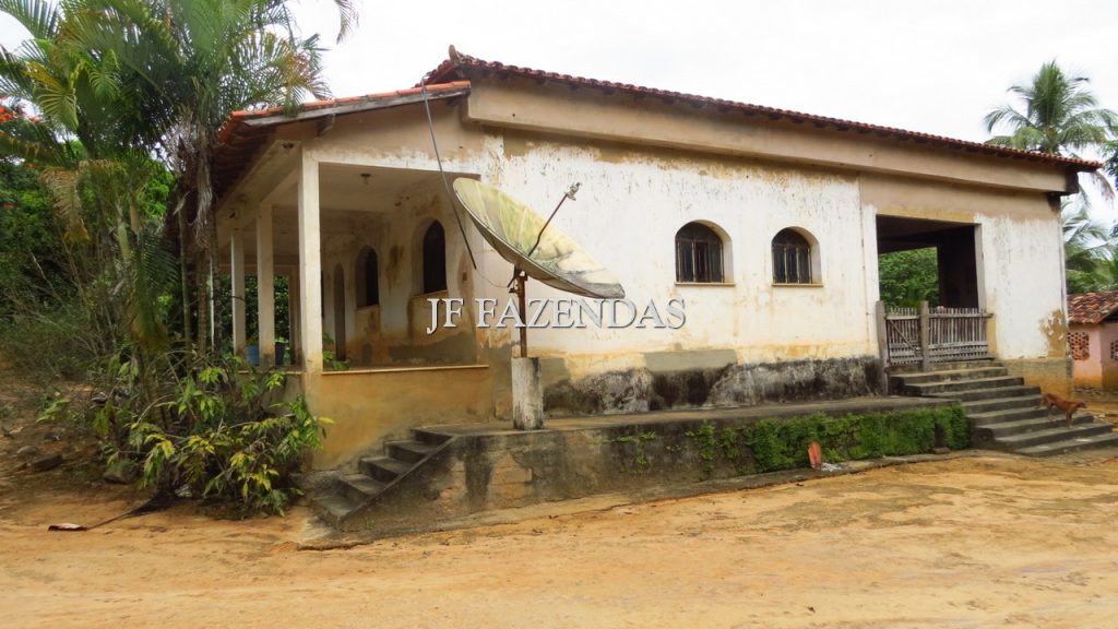 Fazenda em São João Nepomuceno – MG – 302 hectares Fazenda em São João Nepomuceno – MG – 302 hectares