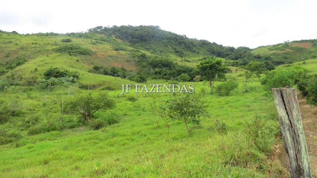 Fazenda em São João Nepomuceno – MG – 302 hectares Fazenda em São João Nepomuceno – MG – 302 hectares