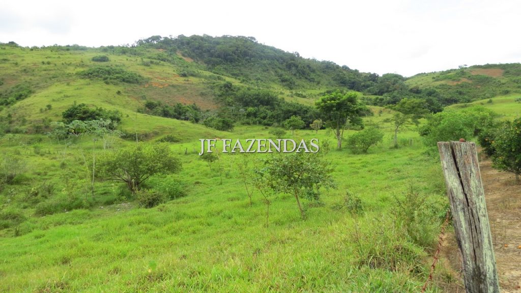 Fazenda em São João Nepomuceno – MG – 302 hectares Fazenda em São João Nepomuceno – MG – 302 hectares