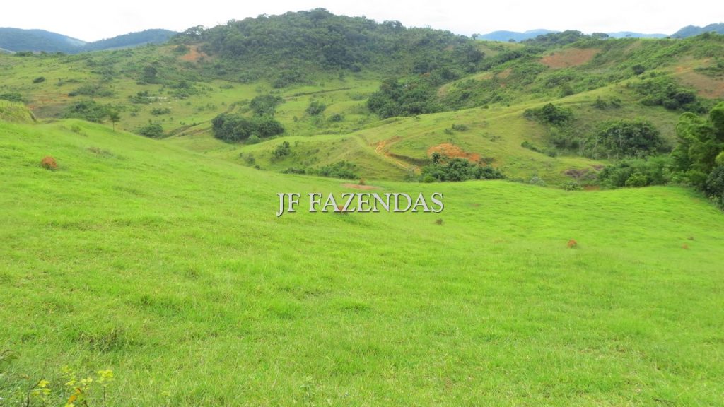Fazenda em São João Nepomuceno – MG – 302 hectares Fazenda em São João Nepomuceno – MG – 302 hectares