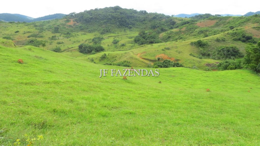 Fazenda em São João Nepomuceno – MG – 302 hectares Fazenda em São João Nepomuceno – MG – 302 hectares