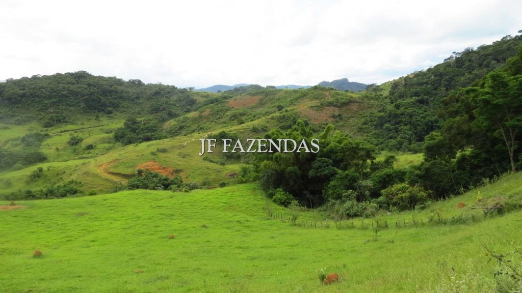 Fazenda em São João Nepomuceno – MG – 302 hectares Fazenda em São João Nepomuceno – MG – 302 hectares