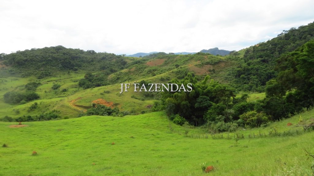 Fazenda em São João Nepomuceno – MG – 302 hectares Fazenda em São João Nepomuceno – MG – 302 hectares