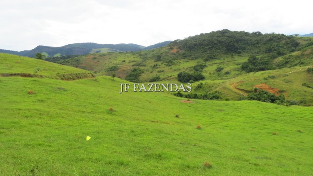 Fazenda em São João Nepomuceno – MG – 302 hectares Fazenda em São João Nepomuceno – MG – 302 hectares