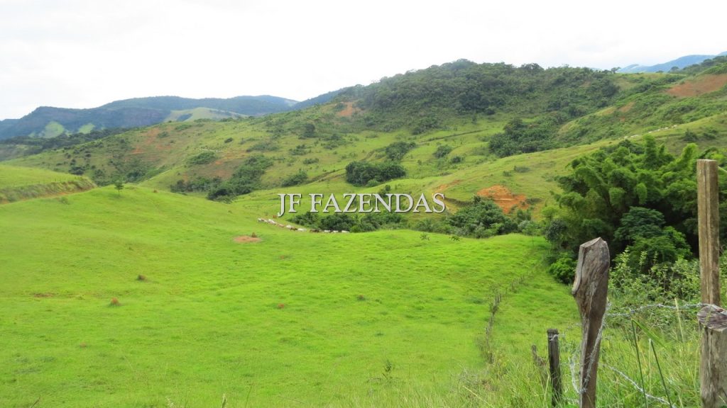 Fazenda em São João Nepomuceno – MG – 302 hectares Fazenda em São João Nepomuceno – MG – 302 hectares