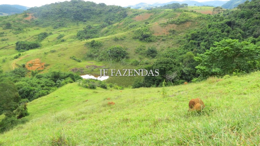Fazenda em São João Nepomuceno – MG – 302 hectares Fazenda em São João Nepomuceno – MG – 302 hectares
