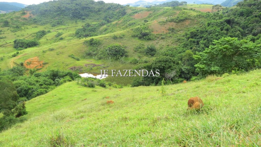 Fazenda em São João Nepomuceno – MG – 302 hectares Fazenda em São João Nepomuceno – MG – 302 hectares