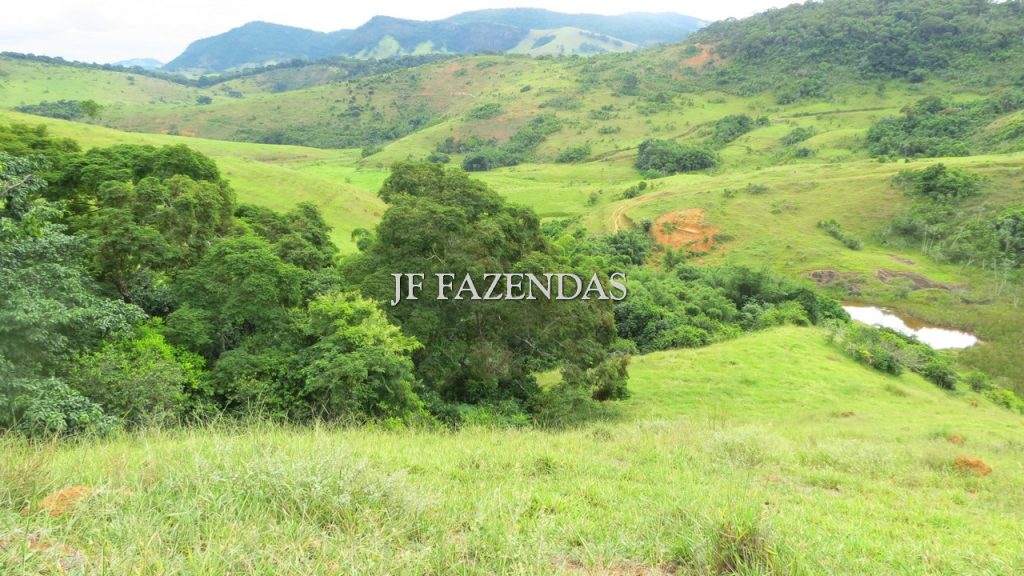 Fazenda em São João Nepomuceno – MG – 302 hectares Fazenda em São João Nepomuceno – MG – 302 hectares