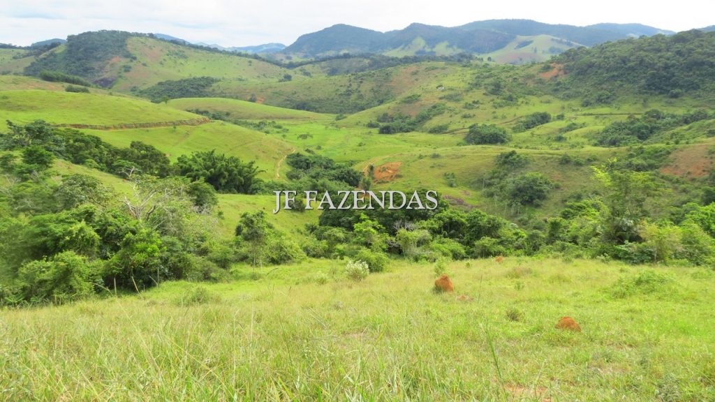 Fazenda em São João Nepomuceno – MG – 302 hectares Fazenda em São João Nepomuceno – MG – 302 hectares