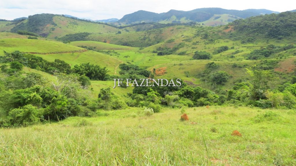 Fazenda em São João Nepomuceno – MG – 302 hectares Fazenda em São João Nepomuceno – MG – 302 hectares