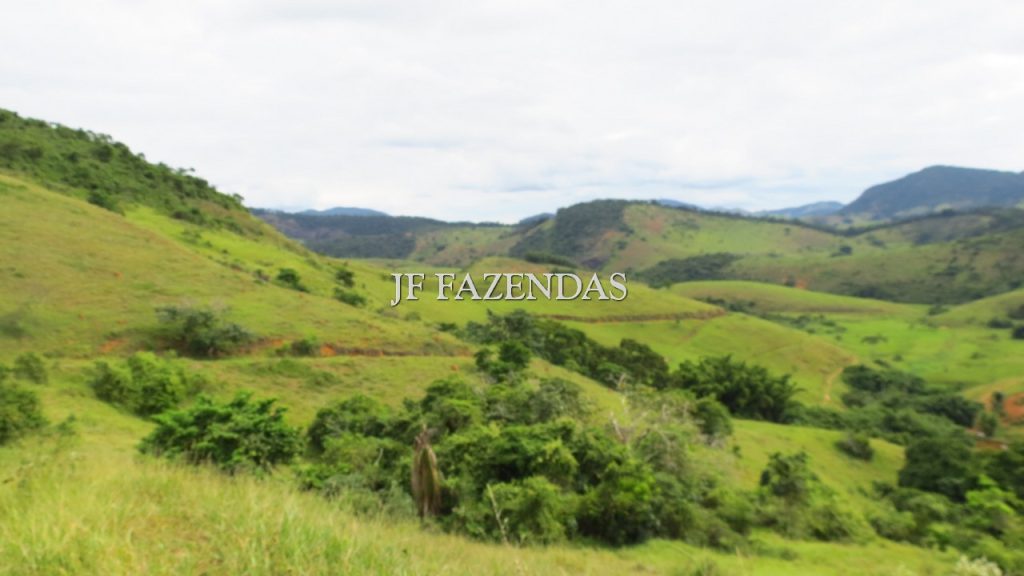 Fazenda em São João Nepomuceno – MG – 302 hectares Fazenda em São João Nepomuceno – MG – 302 hectares