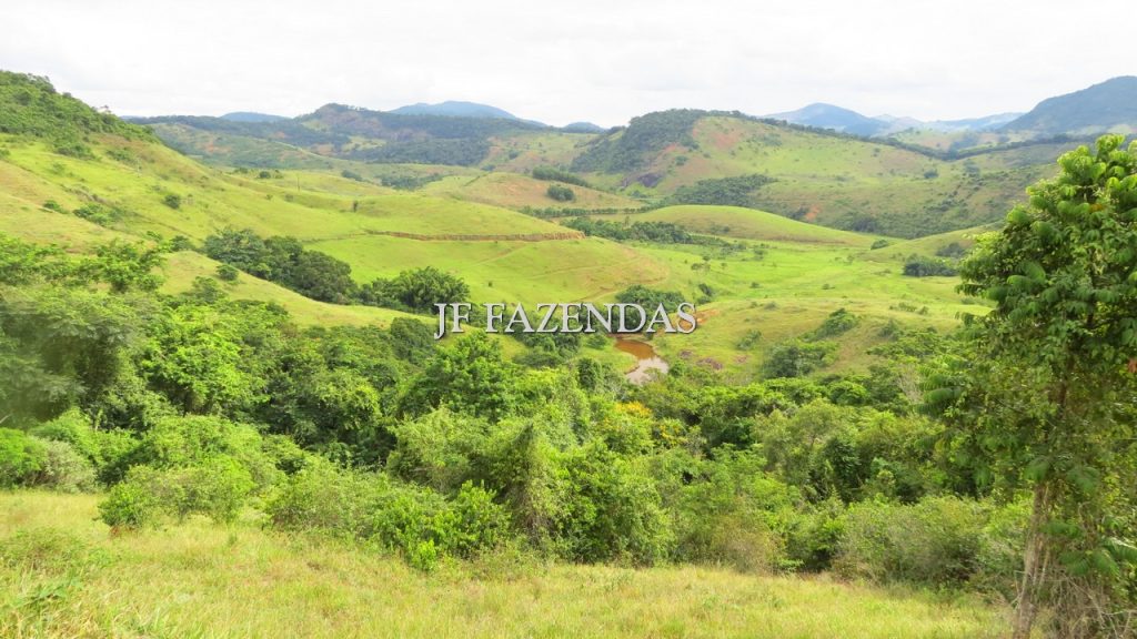 Fazenda em São João Nepomuceno – MG – 302 hectares Fazenda em São João Nepomuceno – MG – 302 hectares