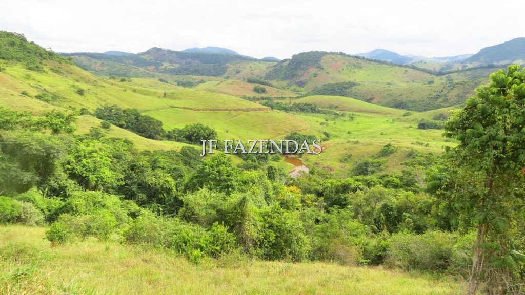 Fazenda em São João Nepomuceno – MG – 302 hectares Fazenda em São João Nepomuceno – MG – 302 hectares