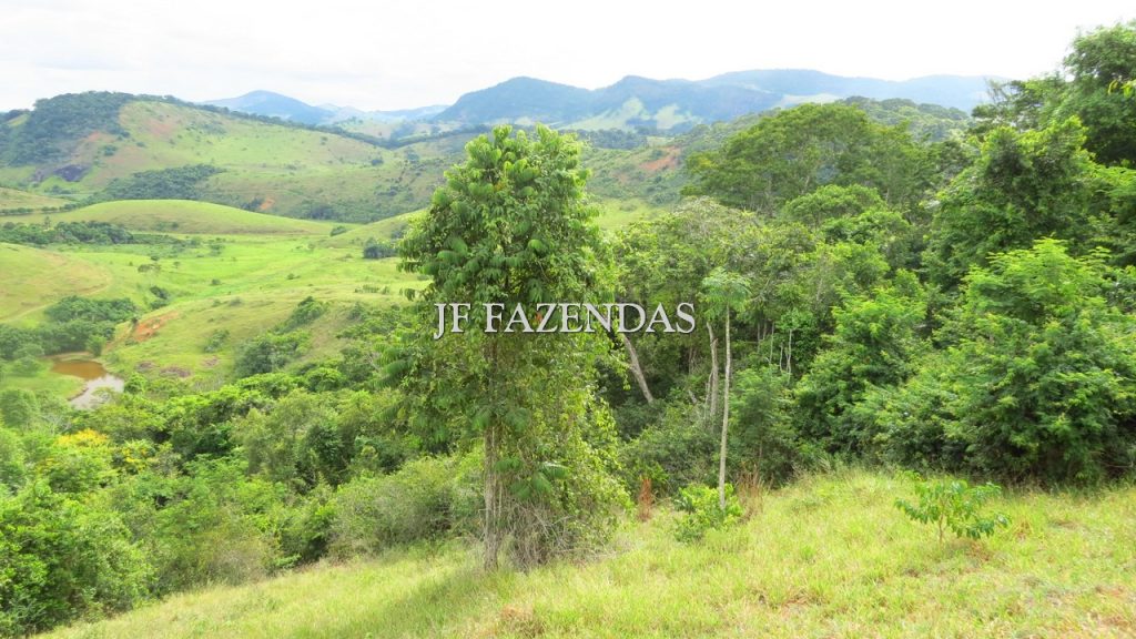 Fazenda em São João Nepomuceno – MG – 302 hectares Fazenda em São João Nepomuceno – MG – 302 hectares