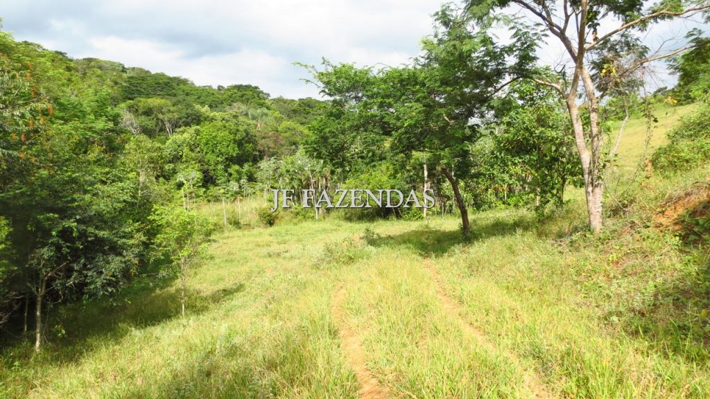 Fazenda em São João Nepomuceno – MG – 302 hectares Fazenda em São João Nepomuceno – MG – 302 hectares