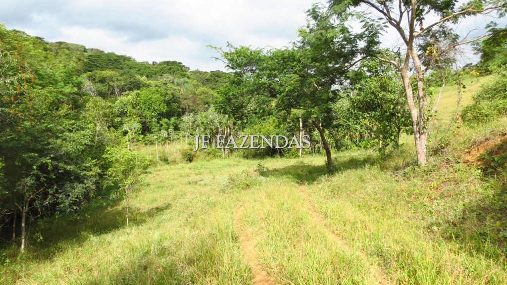 Fazenda em São João Nepomuceno – MG – 302 hectares Fazenda em São João Nepomuceno – MG – 302 hectares