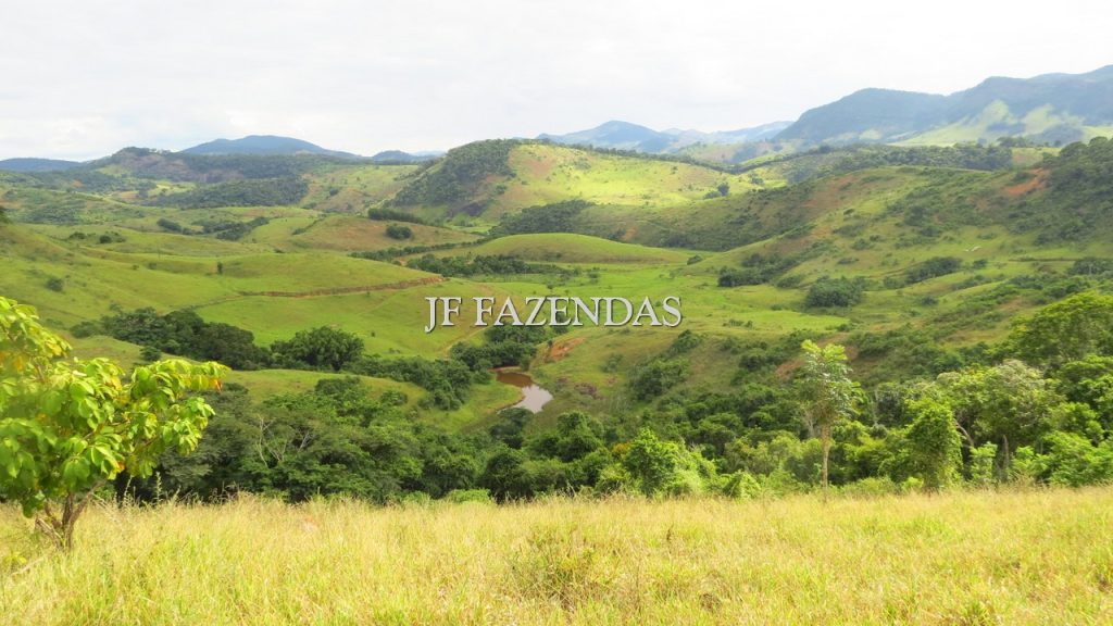 Fazenda em São João Nepomuceno – MG – 302 hectares Fazenda em São João Nepomuceno – MG – 302 hectares