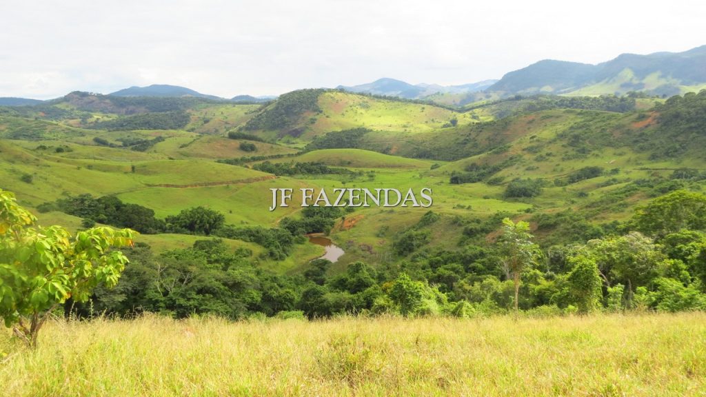 Fazenda em São João Nepomuceno – MG – 302 hectares Fazenda em São João Nepomuceno – MG – 302 hectares