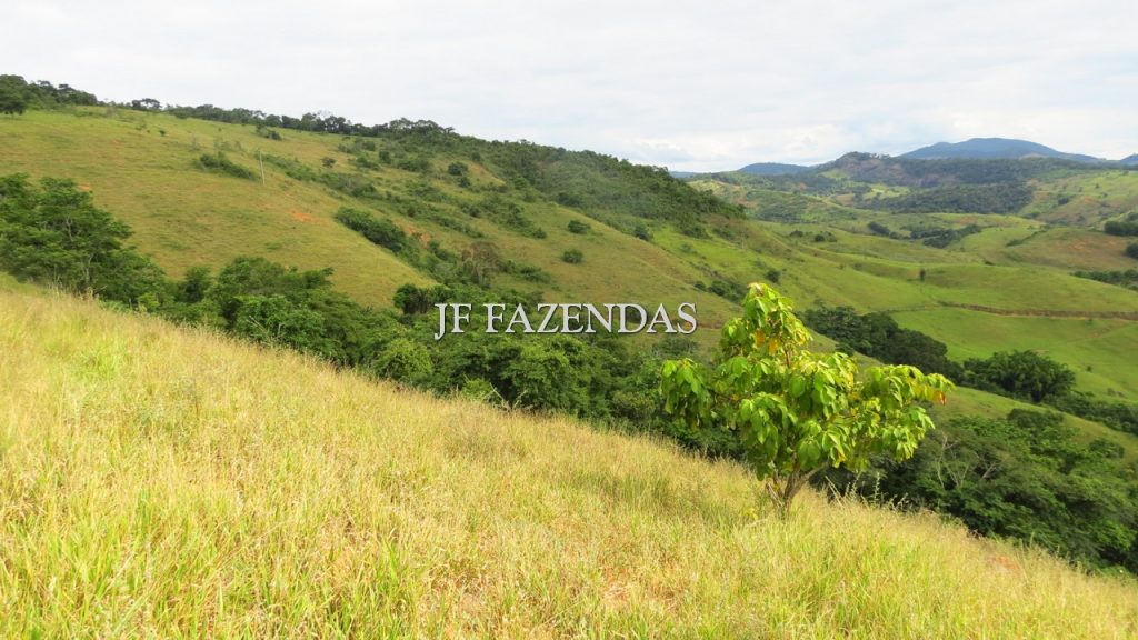 Fazenda em São João Nepomuceno – MG – 302 hectares Fazenda em São João Nepomuceno – MG – 302 hectares