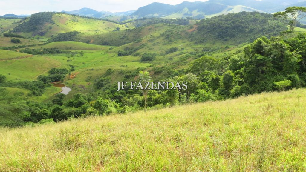Fazenda em São João Nepomuceno – MG – 302 hectares Fazenda em São João Nepomuceno – MG – 302 hectares