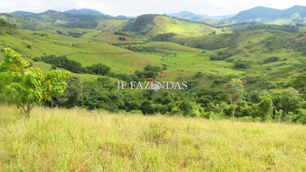 Fazenda em São João Nepomuceno – MG – 302 hectares Fazenda em São João Nepomuceno – MG – 302 hectares
