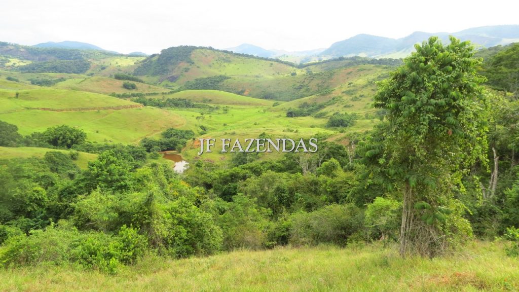 Fazenda em São João Nepomuceno – MG – 302 hectares Fazenda em São João Nepomuceno – MG – 302 hectares