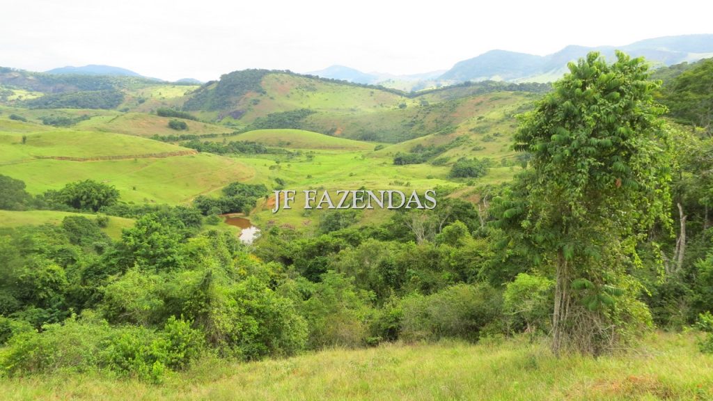 Fazenda em São João Nepomuceno – MG – 302 hectares Fazenda em São João Nepomuceno – MG – 302 hectares