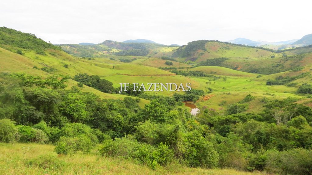 Fazenda em São João Nepomuceno – MG – 302 hectares Fazenda em São João Nepomuceno – MG – 302 hectares