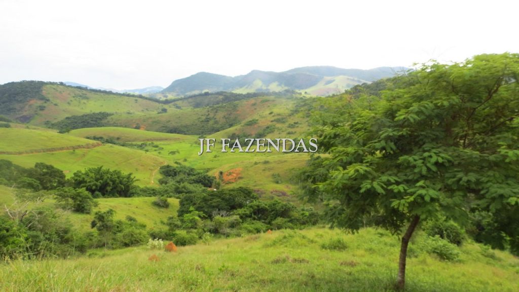 Fazenda em São João Nepomuceno – MG – 302 hectares Fazenda em São João Nepomuceno – MG – 302 hectares