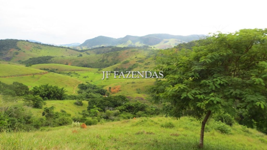 Fazenda em São João Nepomuceno – MG – 302 hectares Fazenda em São João Nepomuceno – MG – 302 hectares