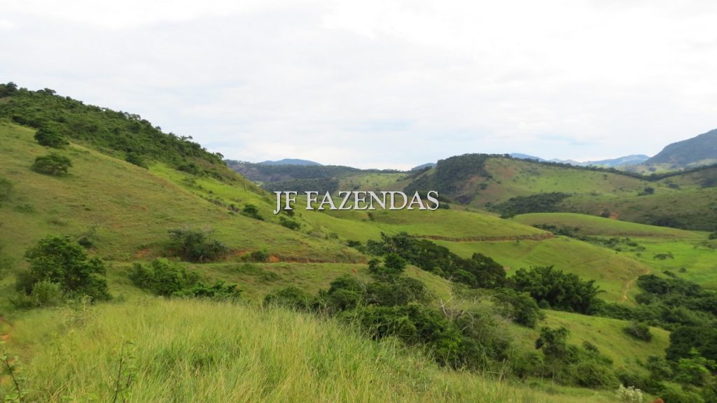 Fazenda em São João Nepomuceno – MG – 302 hectares Fazenda em São João Nepomuceno – MG – 302 hectares
