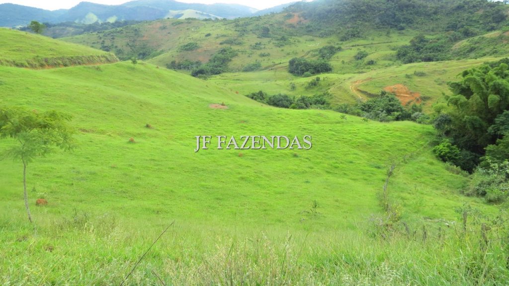 Fazenda em São João Nepomuceno – MG – 302 hectares Fazenda em São João Nepomuceno – MG – 302 hectares