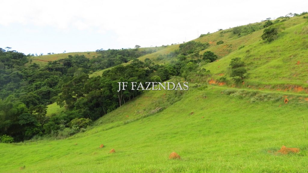 Fazenda em São João Nepomuceno – MG – 302 hectares Fazenda em São João Nepomuceno – MG – 302 hectares