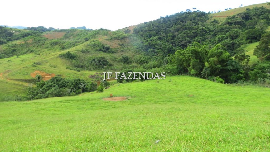 Fazenda em São João Nepomuceno – MG – 302 hectares Fazenda em São João Nepomuceno – MG – 302 hectares