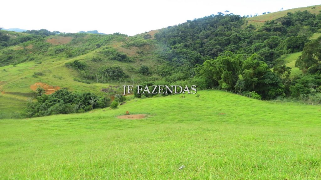 Fazenda em São João Nepomuceno – MG – 302 hectares Fazenda em São João Nepomuceno – MG – 302 hectares