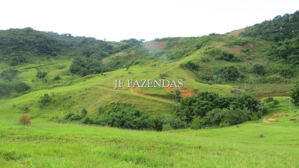 Fazenda em São João Nepomuceno – MG – 302 hectares Fazenda em São João Nepomuceno – MG – 302 hectares