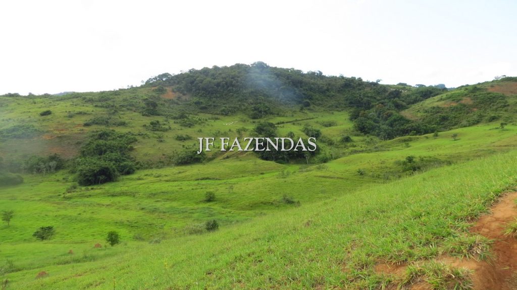 Fazenda em São João Nepomuceno – MG – 302 hectares Fazenda em São João Nepomuceno – MG – 302 hectares
