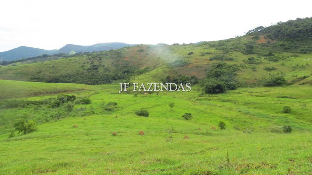 Fazenda em São João Nepomuceno – MG – 302 hectares Fazenda em São João Nepomuceno – MG – 302 hectares