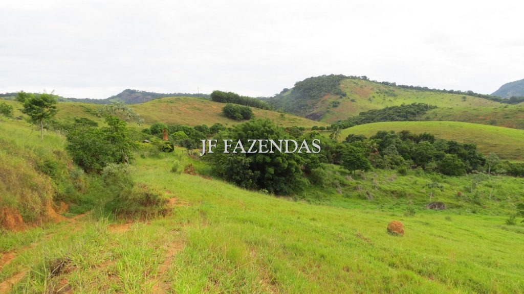 Fazenda em São João Nepomuceno – MG – 302 hectares Fazenda em São João Nepomuceno – MG – 302 hectares