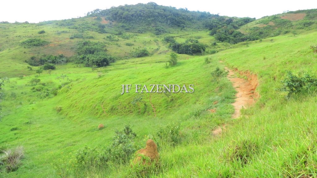 Fazenda em São João Nepomuceno – MG – 302 hectares Fazenda em São João Nepomuceno – MG – 302 hectares