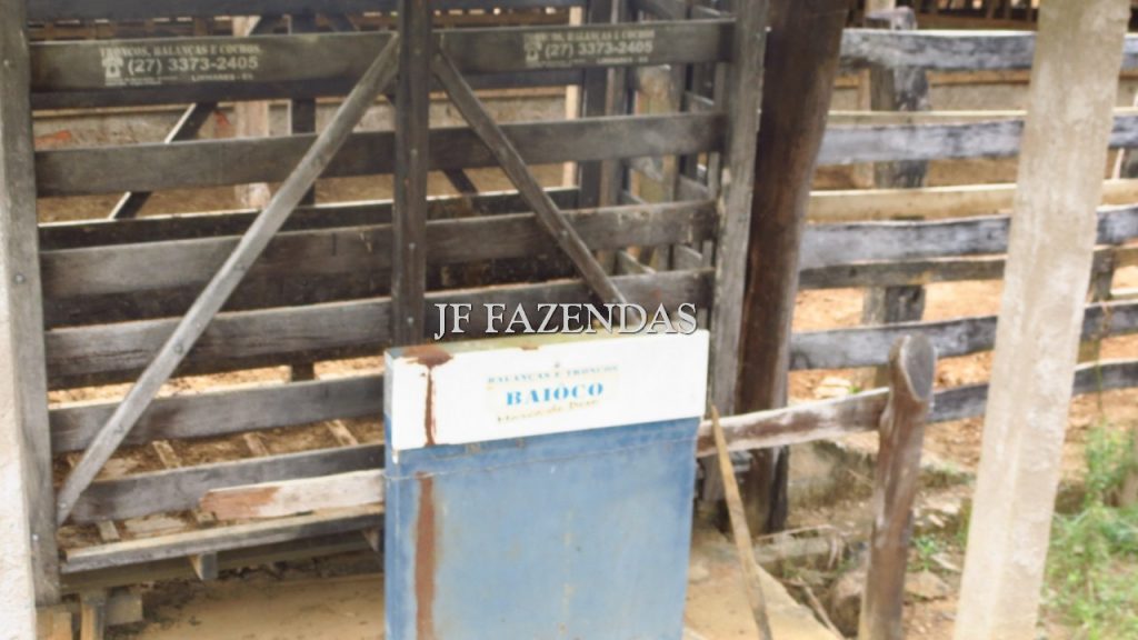 Fazenda em São João Nepomuceno – MG – 302 hectares Fazenda em São João Nepomuceno – MG – 302 hectares