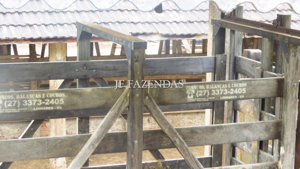 Fazenda em São João Nepomuceno – MG – 302 hectares Fazenda em São João Nepomuceno – MG – 302 hectares