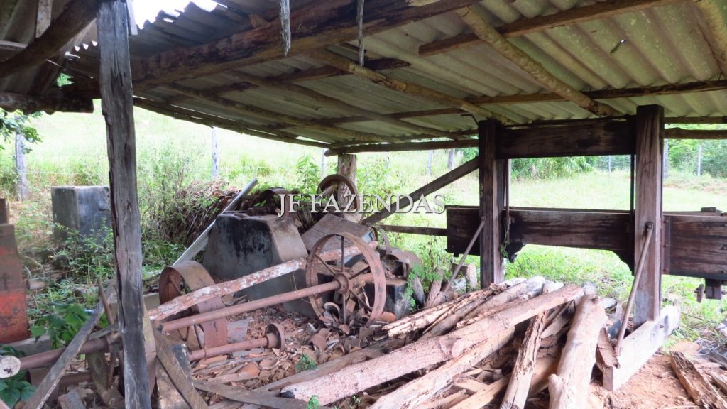 Fazenda em São João Nepomuceno – MG – 302 hectares Fazenda em São João Nepomuceno – MG – 302 hectares
