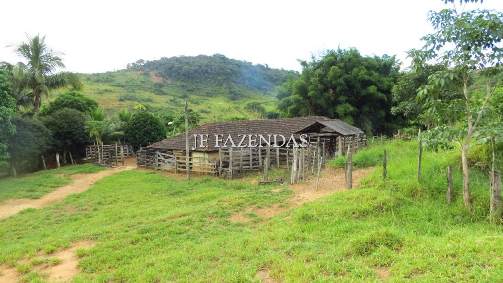 Fazenda em São João Nepomuceno – MG – 302 hectares Fazenda em São João Nepomuceno – MG – 302 hectares