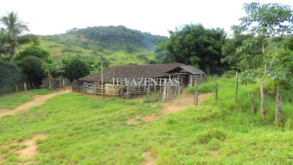Fazenda em São João Nepomuceno – MG – 302 hectares Fazenda em São João Nepomuceno – MG – 302 hectares