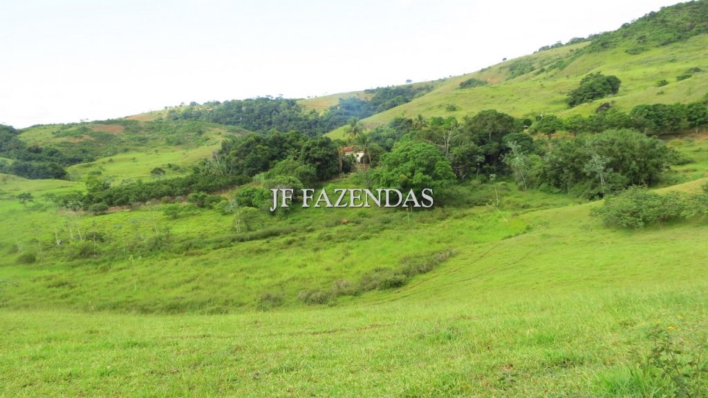Fazenda em São João Nepomuceno – MG – 302 hectares Fazenda em São João Nepomuceno – MG – 302 hectares