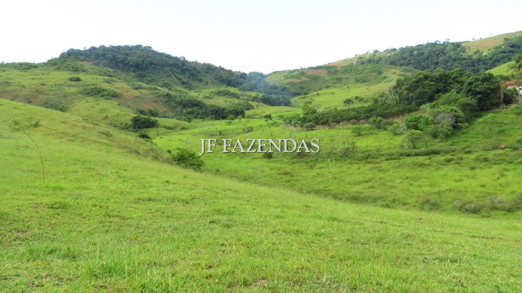 Fazenda em São João Nepomuceno – MG – 302 hectares Fazenda em São João Nepomuceno – MG – 302 hectares