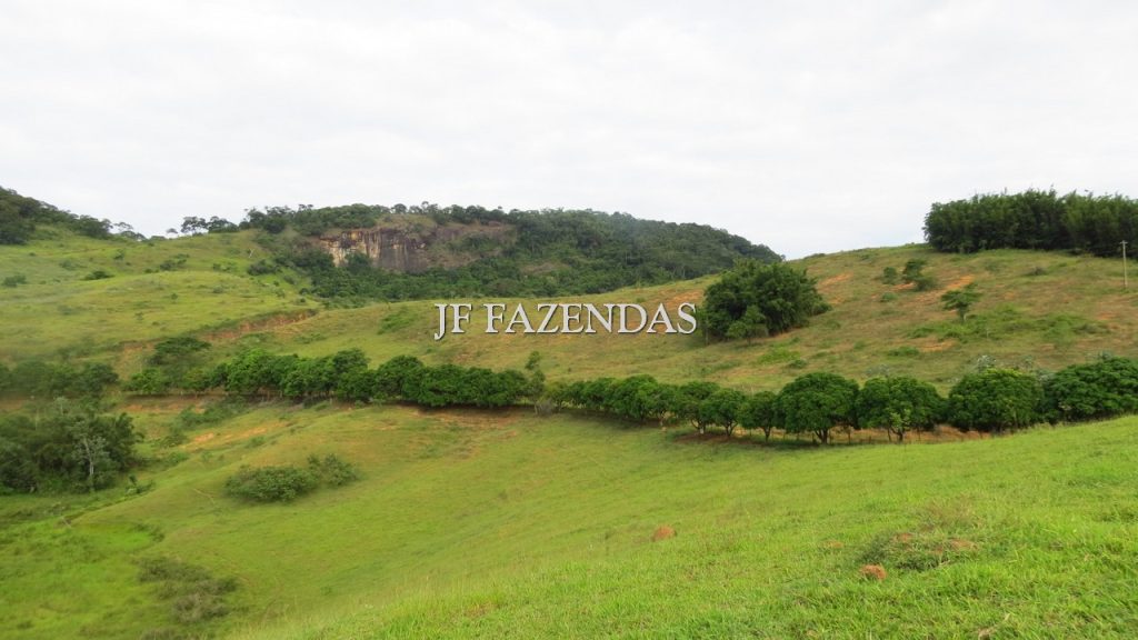 Fazenda em São João Nepomuceno – MG – 302 hectares Fazenda em São João Nepomuceno – MG – 302 hectares